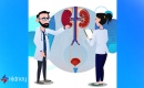 Gestione dell'Insufficienza Renale in Ambulatorio: Un Approccio Completo e Integrato