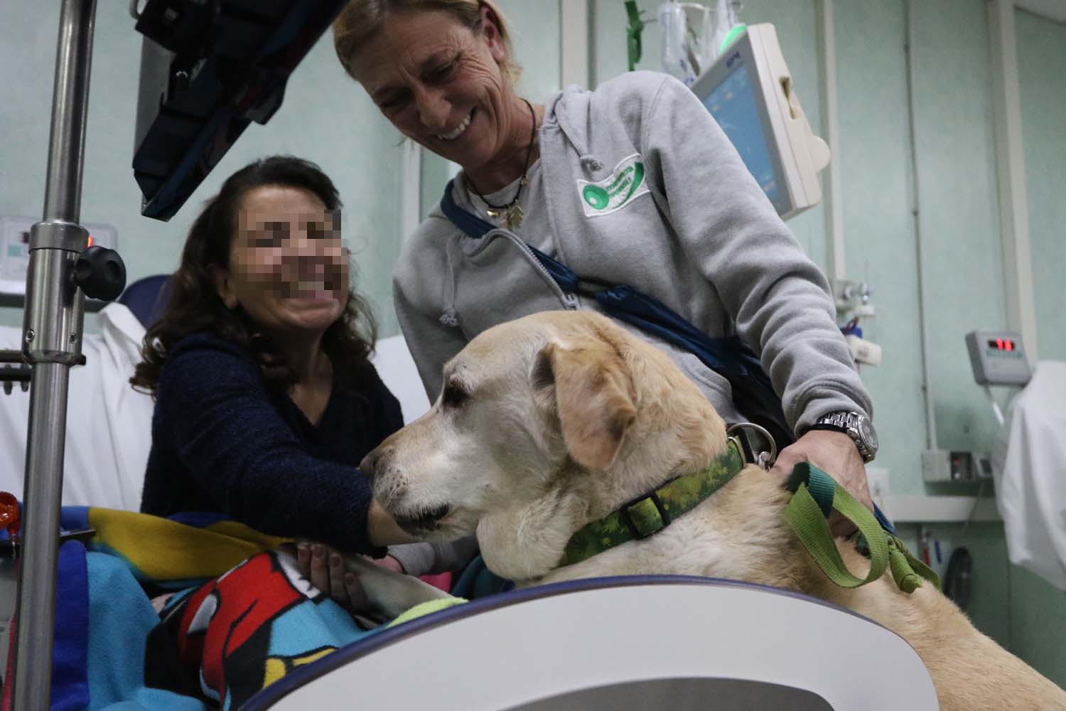 Iniziative volte al riordino della pet therapy